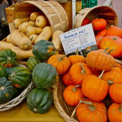 At the Copley Square Market: A Photo Montage