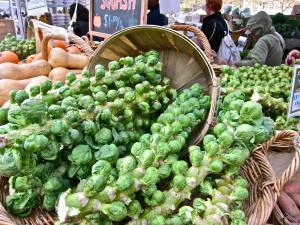 Brussels Sprouts at Copley