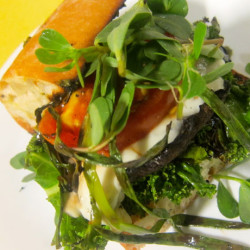 Mediterranean Grilled Vegetable Sandwich with Pesto and Two Cheeses