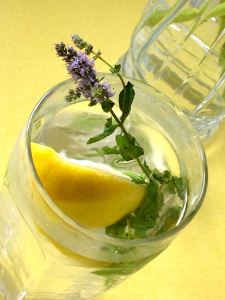 Water with Mint and Lemon