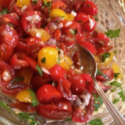Summer Salsa Fresca in Shades of Red and Gold