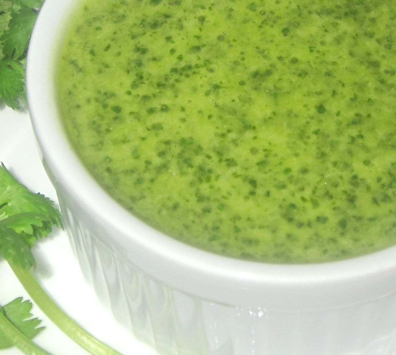 Cilantro Lime Vinaigrette